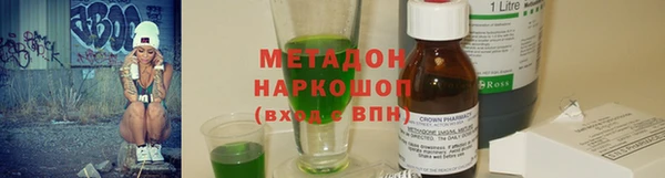 прущие грибы Медвежьегорск