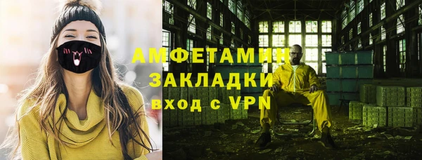 прущие грибы Медвежьегорск