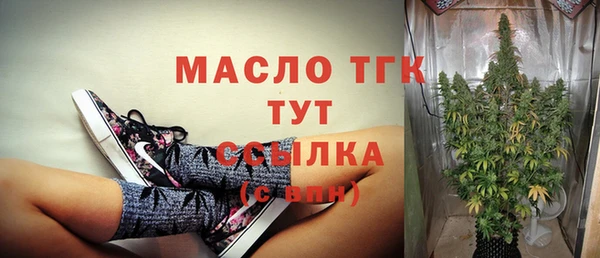 прущие грибы Медвежьегорск