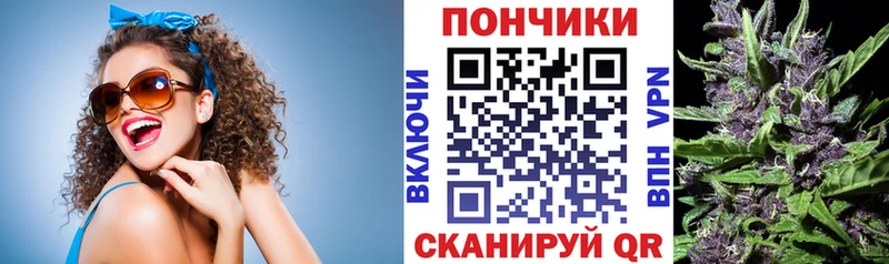 Каннабис сатива  Купить где  Мураши 